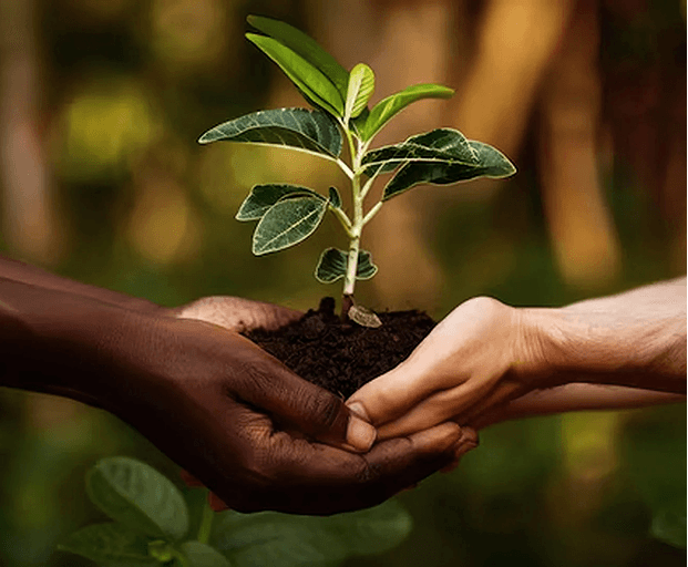 Sustainable Growth